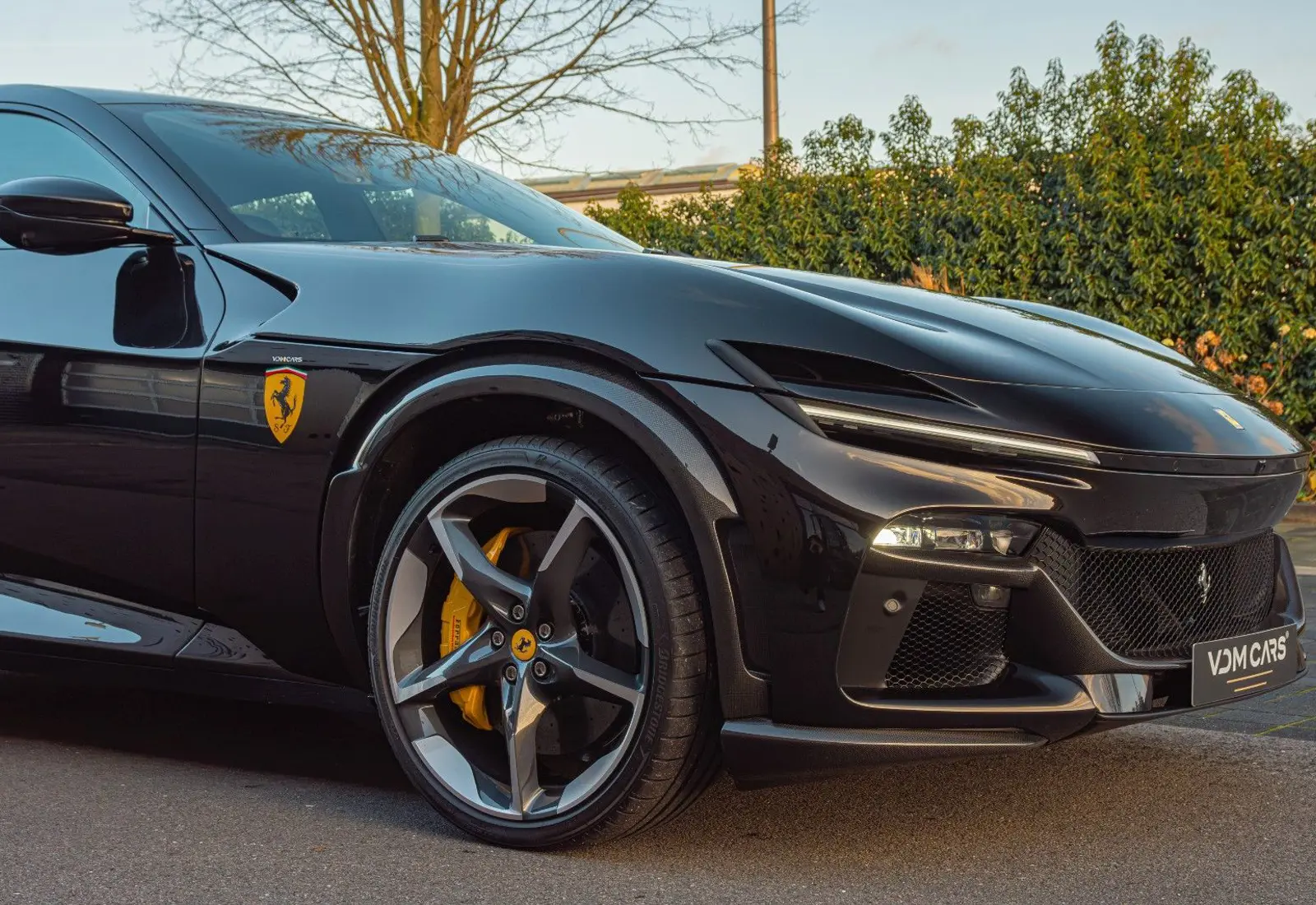 Ferrari Purosangue V12 * CARBON * AVAILABLE * NEW *  - 103128